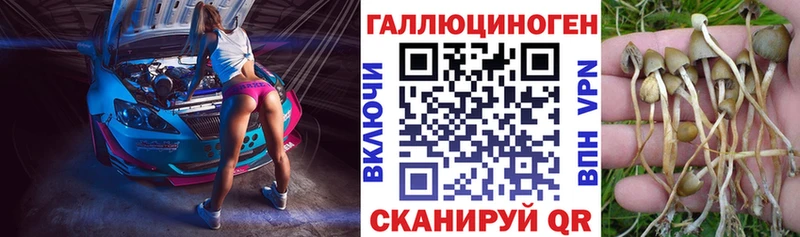 Галлюциногенные грибы Cubensis  Купить где  Урень 